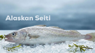 Alaskan Seiti