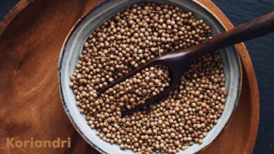 Koriandri