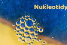Nukleotidy