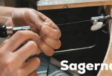 Sagerne
