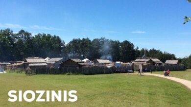 Siozinis
