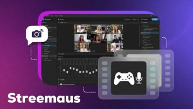 Streemaus